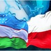 Telegram chat Polshadagi O’zbek Studentlari logo