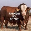 Telegram chat Parkent mol bozori ochq savdo logo