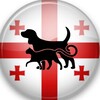 Telegram chat В Грузии с животными 🐾 logo