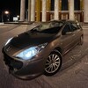 Telegram chat Peugeot 307 / Пежо 307 logo
