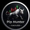 Telegram chat Pip Hunter Community logo