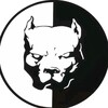 Telegram chat Pitbull - Pitbull Inu logo