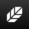 Plume Community - Telegram Groups