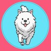 Telegram chat Poodle Inu Official | erc20 logo