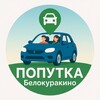 Telegram chat ПОПУТКА - Белокуракино logo