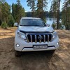 Telegram chat Land Cruiser Prado 150 logo