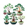 Telegram chat Новости рынка предбонсай logo