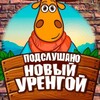 Telegram chat Подслушано Новый Уренгой logo