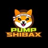 Telegram chat PumpShibaX - Official logo