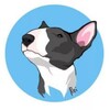 Telegram chat Бультер'єри цуценята/ в'язка 🇺🇦 Україна logo