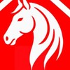 Telegram chat Qaffal Qazi mahsulotlari logo