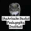 Telegram chat ShahDPI talabalari👨‍🎓🧑‍🎓 logo