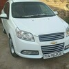 Telegram chat 🚕MIRISHKOR 🏎 QARSHI🚕 TAKSI 24/7 logo