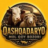 QASHQADARYO MOL QO‘Y BOZORI - Telegram Groups