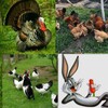 QASHQADARYO TOVUQ🐔 QUYON 🐇 KO‘RKA🦃 BOZORI - Telegram Groups