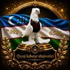 Telegram chat Кайки кабутар ишкибозлари🕊 logo