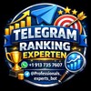 Telegram chat Rank Meister logo