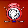 Telegram chat РФ ХОККЕЙ 🇷🇺🏒 logo