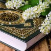 Telegram chat Qur'on 30 pora xatim logo