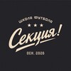 Telegram chat Секция! Чат logo