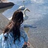 Telegram chat 数据检测|活跃号码|底料生成|号码魔方|免费号段 logo