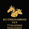Telegram chat SIRDARYO VETERINARIYA RO‘ZIMUHAMMAD VET🐎👨‍⚕💉 logo