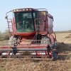 Telegram chat САМАРКАНД РЕКЛАМА ВА ЭЛОНЛАР ГУРИПАСИ 🚜🚜🚜🚜🚜🚛🚛🚛🚛 logo