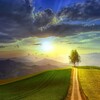Telegram chat ☘Дорога к здоровью☘с Siberian Wellness ☘ logo
