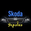 Telegram chat Skoda клуб Україна logo