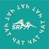 Telegram chat SKYRUNFEST logo