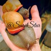 Telegram chat SnailStar🐌 logo