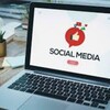 Telegram chat SocialMedia_Optimization logo