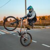 Telegram chat Felix (чат) 🚲📸 logo