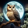 Telegram chat 👁 Ночная сова 👩‍🦰👨‍🦰 logo