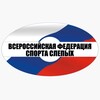 Telegram chat ВФСС logo