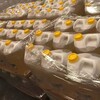 Telegram chat GRADE A SUN FLOWER OIL #Australia #Germany #Uk #USA #Poland #Canada #France #Sweden logo