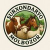 Telegram chat Surxondaryo Molbozor | Surxandaryo Molbozor | Сурхондарё Молбозор Umid Rashidov logo