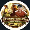 Surxondaryo Molbozor - Telegram Groups
