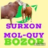 Telegram chat SURXONDARYO MOL BOZORI🐎🐑🐂 logo