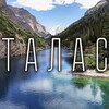 Telegram chat ТАЛАС--БИШКЕК КАТТАМ 24/7 logo