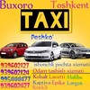 Telegram chat BUXORA TOSHKENT PESHKU SAMARQAND logo
