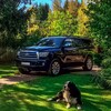Telegram chat Toyota Sequoia logo