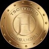 Telegram chat TscHybrid Lightning Speed logo