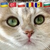 Telegram chat Подорож з домашнім улюбленцем 🐾🇺🇦🇹🇷🇧🇬🇲🇩🇷🇴🇵🇱 logo