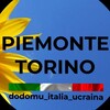 Telegram chat Турин та регіон П'ємонт| Турин и регион Пьемонт | Torino Piemonte logo