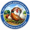 Фазанлар . Товуслар . Sisarkalar . Ўрдаклар . Ғозлар . Куркалар . - Telegram Groups
