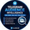 Telegram chat USA Telegram database filter targeted audience validation logo