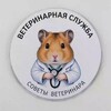 Telegram chat Чат ⚡️Советы ветеринара🐈 logo