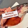 Telegram chat 🐟Форель Северная Осетия,Семга и морепродукты для Видного,его окрестности и Москвы🐟 logo