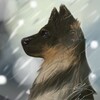 Telegram chat вз logo